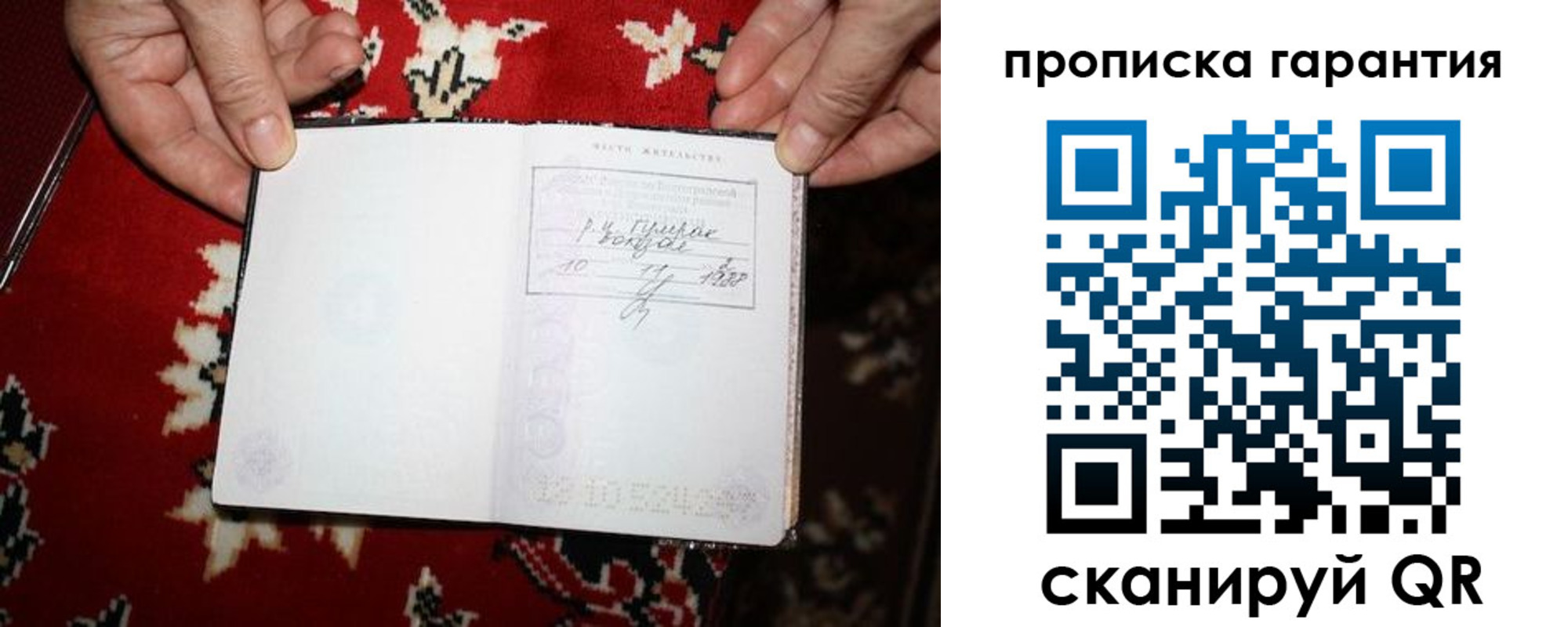 прописка гарантия в Шилке